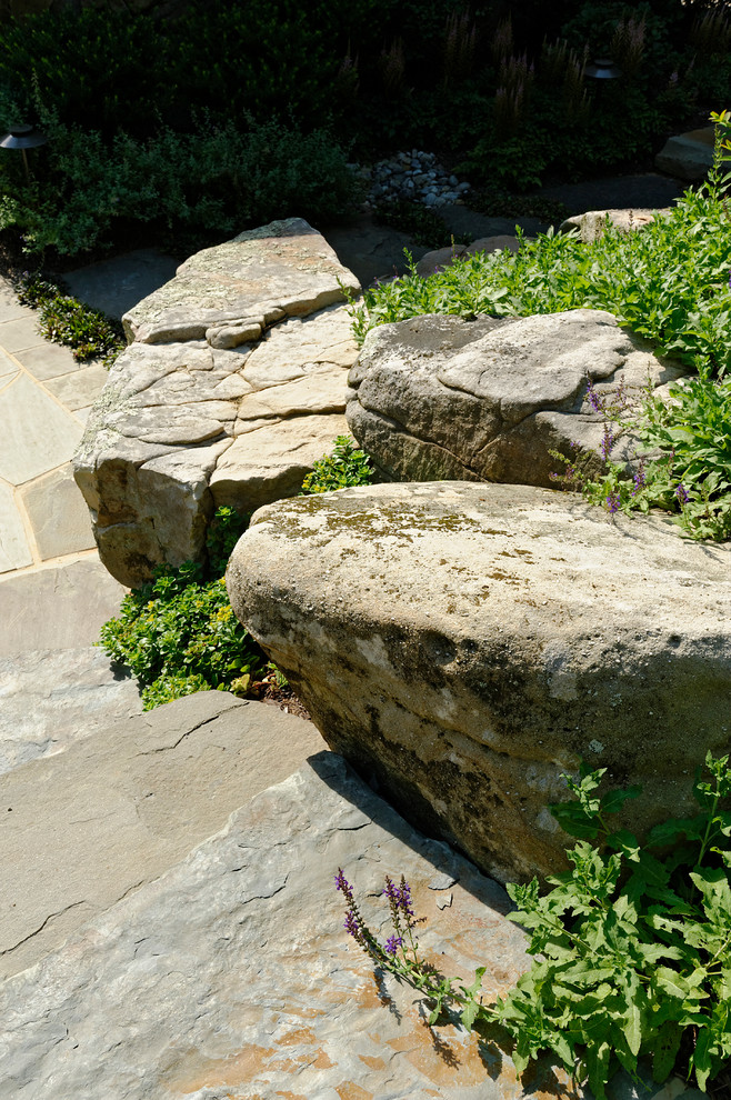 This is an example of a transitional landscaping in DC Metro.