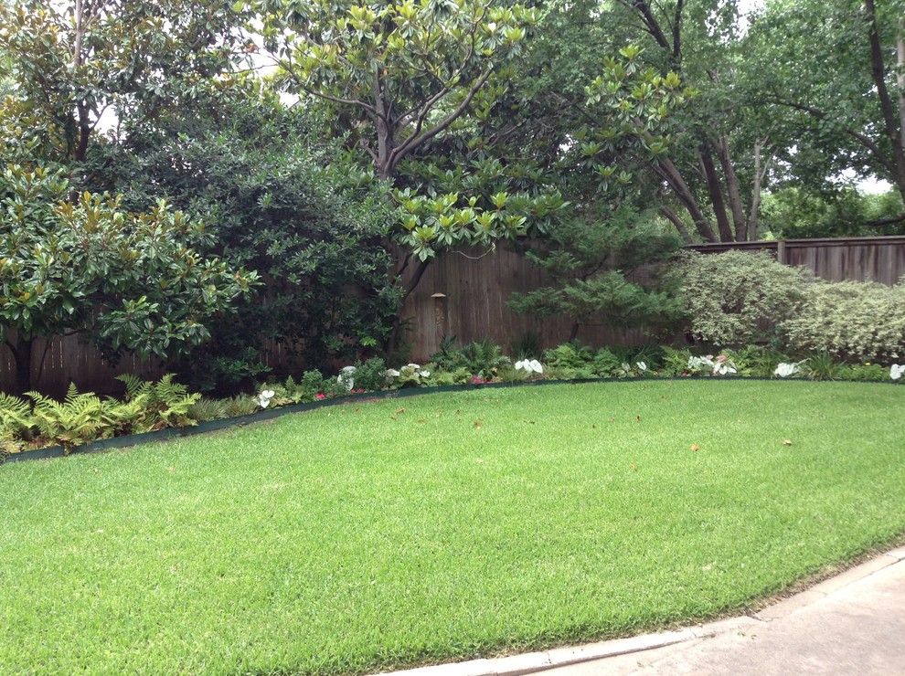 Photo of a traditional garden in Dallas.