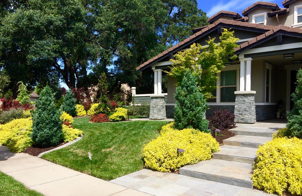 Источник вдохновения для домашнего уюта: солнечный участок и сад среднего размера на переднем дворе в стиле фьюжн с хорошей освещенностью