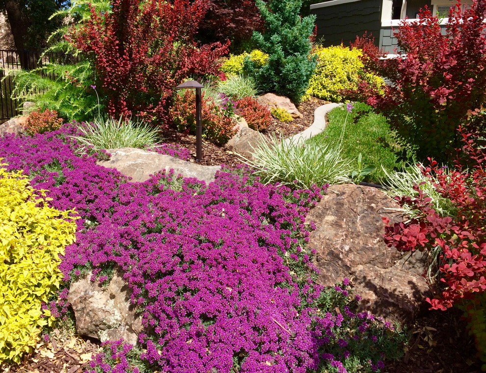 Пример оригинального дизайна: солнечный участок и сад среднего размера на переднем дворе в стиле фьюжн с хорошей освещенностью