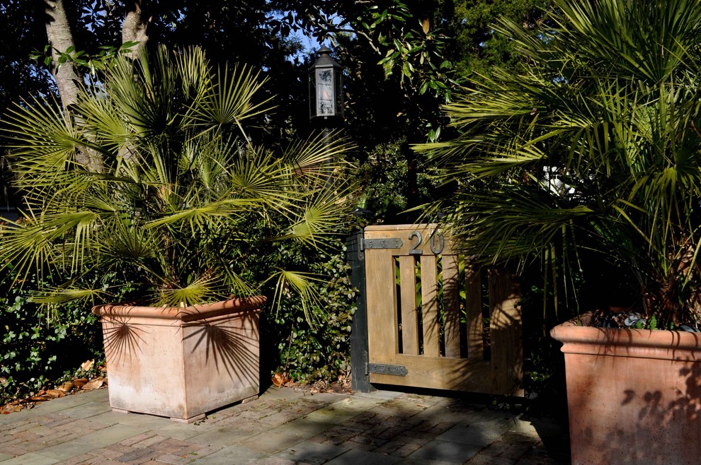 Esempio di un piccolo giardino tropicale davanti casa con un ingresso o sentiero e pavimentazioni in mattoni