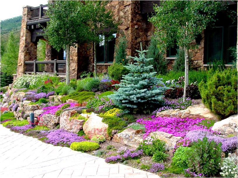 Design ideas for a side yard formal garden in Denver.
