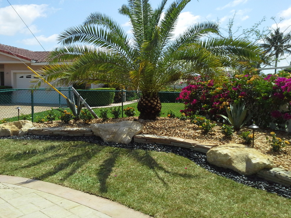 Ejemplo de jardín tropical grande en patio delantero con exposición total al sol y gravilla