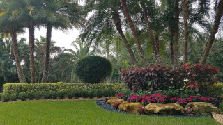 トロピカルスタイルのおしゃれな庭の花壇の画像 21年8月 Houzz ハウズ