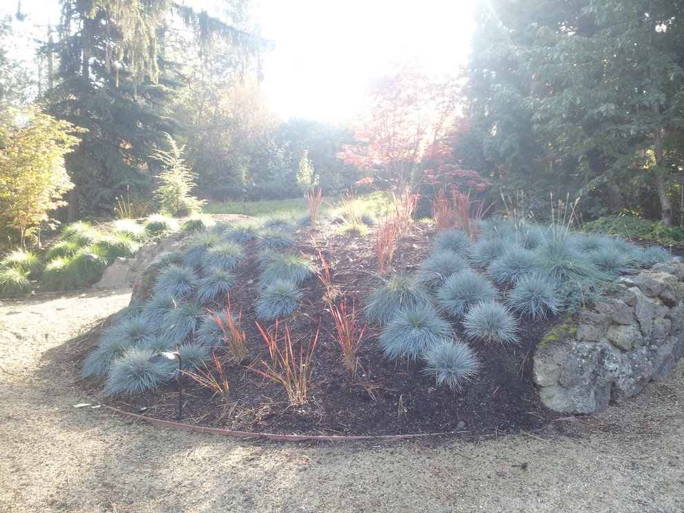 Rockwood Residence 3 Contemporary Landscape Seattle by TERRABELLA, inc. Houzz