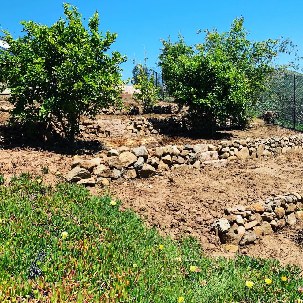 Стильный дизайн: большой солнечный засухоустойчивый сад на склоне в средиземноморском стиле с камнем в ландшафтном дизайне, хорошей освещенностью и покрытием из гальки - последний тренд