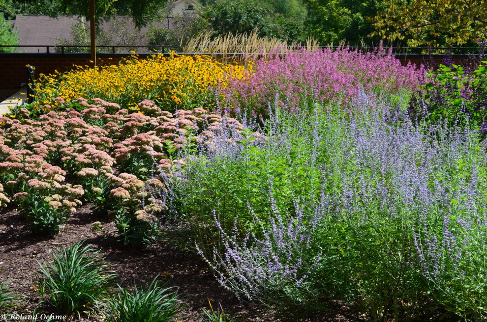 Exemple d'un jardin tendance de taille moyenne et l'été avec une exposition ensoleillée et un paillis.