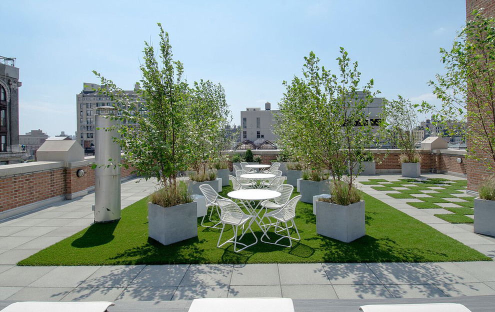 Esempio di un grande giardino xeriscape classico esposto in pieno sole sul tetto con un giardino in vaso e pavimentazioni in cemento