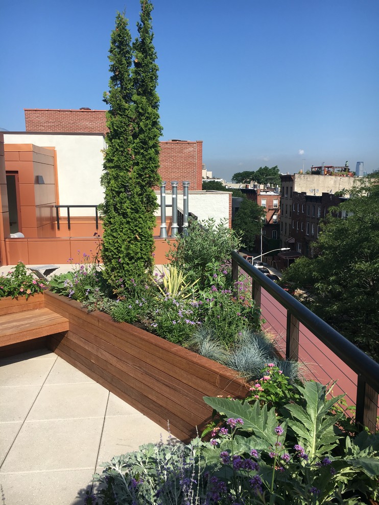 Photo of a mid-sized modern concrete paver landscaping in New York.