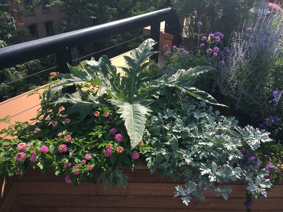 Inspiration for a mid-sized modern concrete paver landscaping in New York.