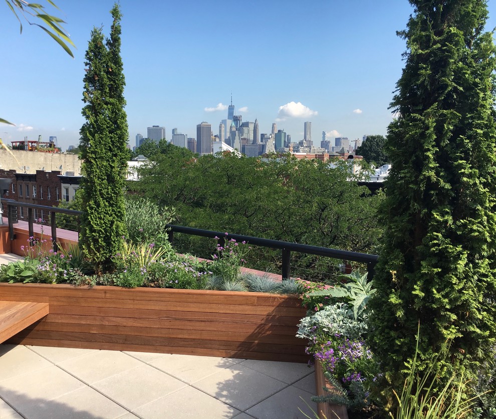 Mittelgroßer Moderner Garten mit Kübelpflanzen und Betonboden in New York