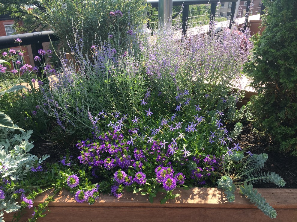 Inspiration for a mid-sized modern concrete paver landscaping in New York.