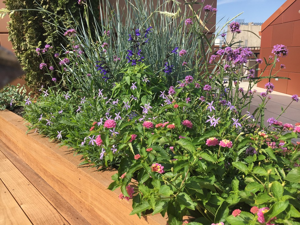 Design ideas for a mid-sized modern concrete paver landscaping in New York.