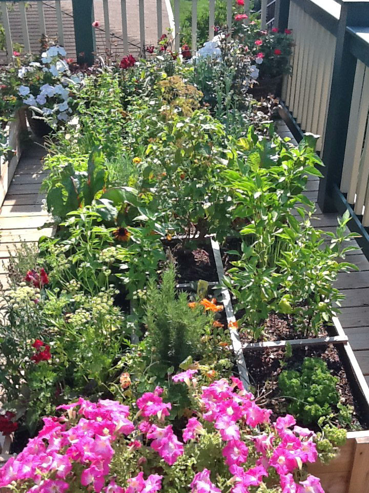Idee per un giardino chic esposto in pieno sole sul tetto