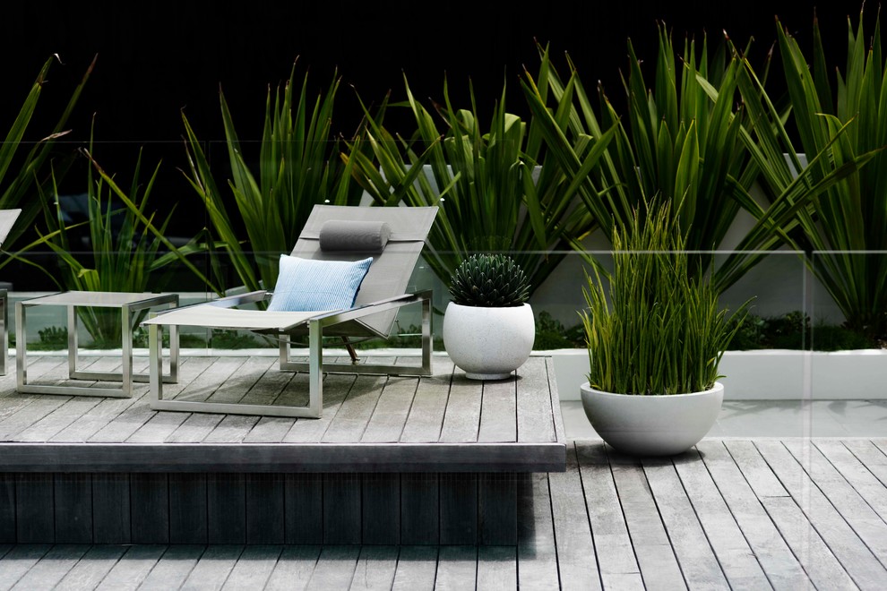 Inspiration for a medium sized contemporary back full sun garden for summer in Sydney with a living wall and decking.