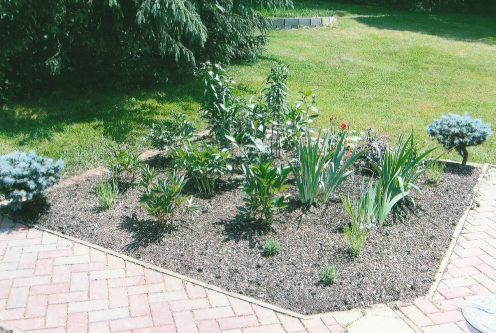 Стильный дизайн: большой солнечный, летний регулярный сад на боковом дворе в классическом стиле с садовой дорожкой или калиткой, хорошей освещенностью и мульчированием - последний тренд