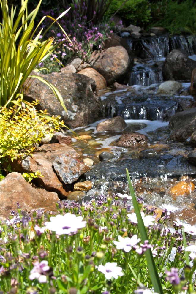 Photo of a small eclectic partial sun backyard water fountain landscape in San Francisco.