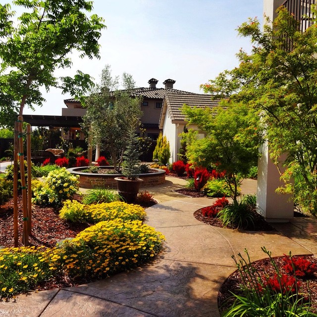 Roseville Éclectique Jardin Sacramento par Landscape and