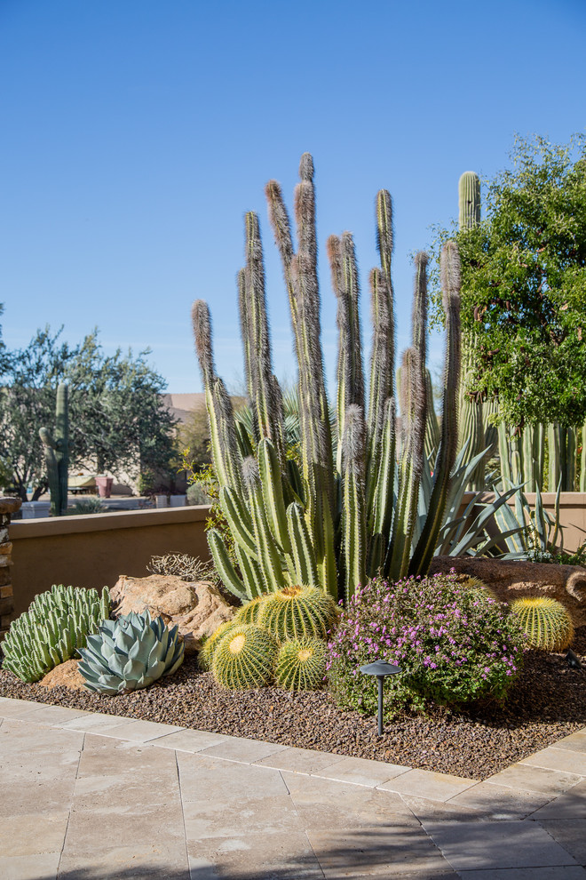 This is an example of a large tropical landscaping in Phoenix.