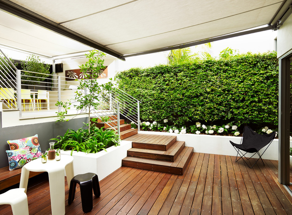 Rozelle functional garden - Contemporary - Landscape - Sydney - by ...