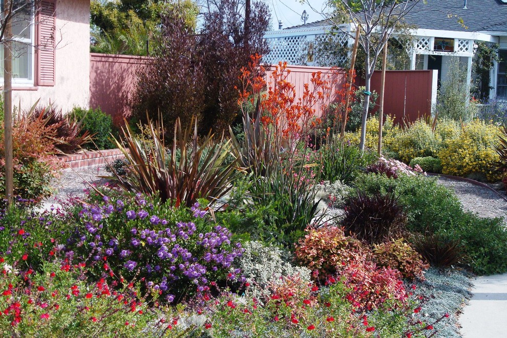 ロサンゼルスにある地中海スタイルのおしゃれな前庭 (ゼリスケープ、日向、マルチング舗装) の写真