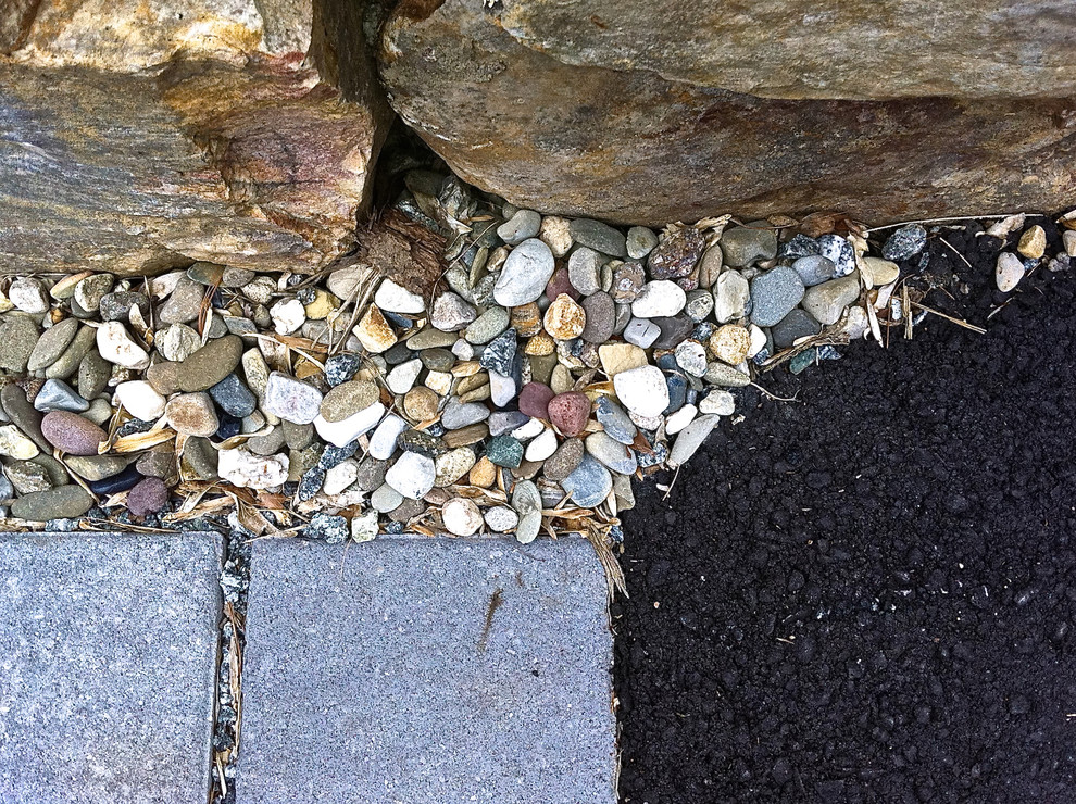 Photo of a modern landscaping in Richmond.