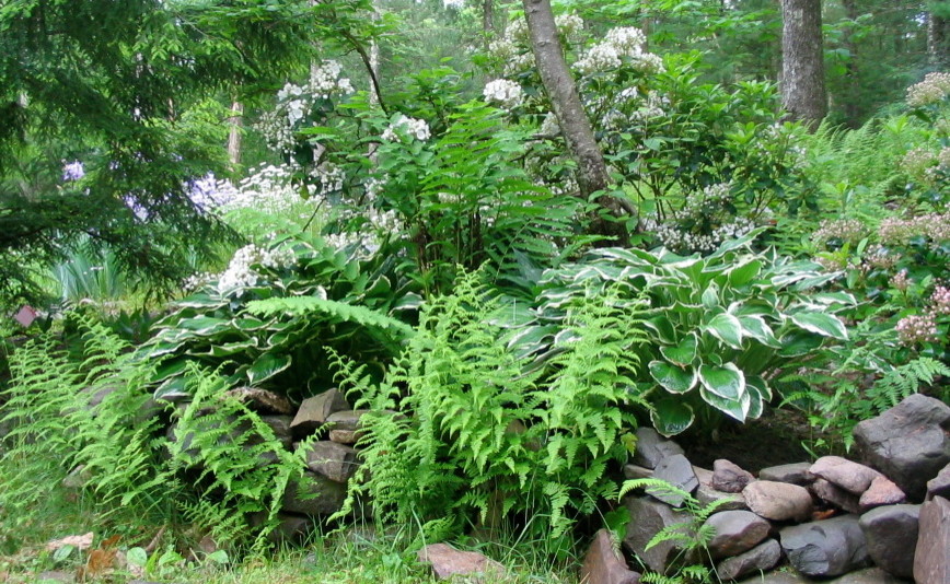 На фото: огромный тенистый, весенний засухоустойчивый сад на склоне в стиле рустика с подпорной стенкой и покрытием из каменной брусчатки