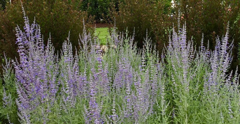 Eclectic garden in Charlotte.