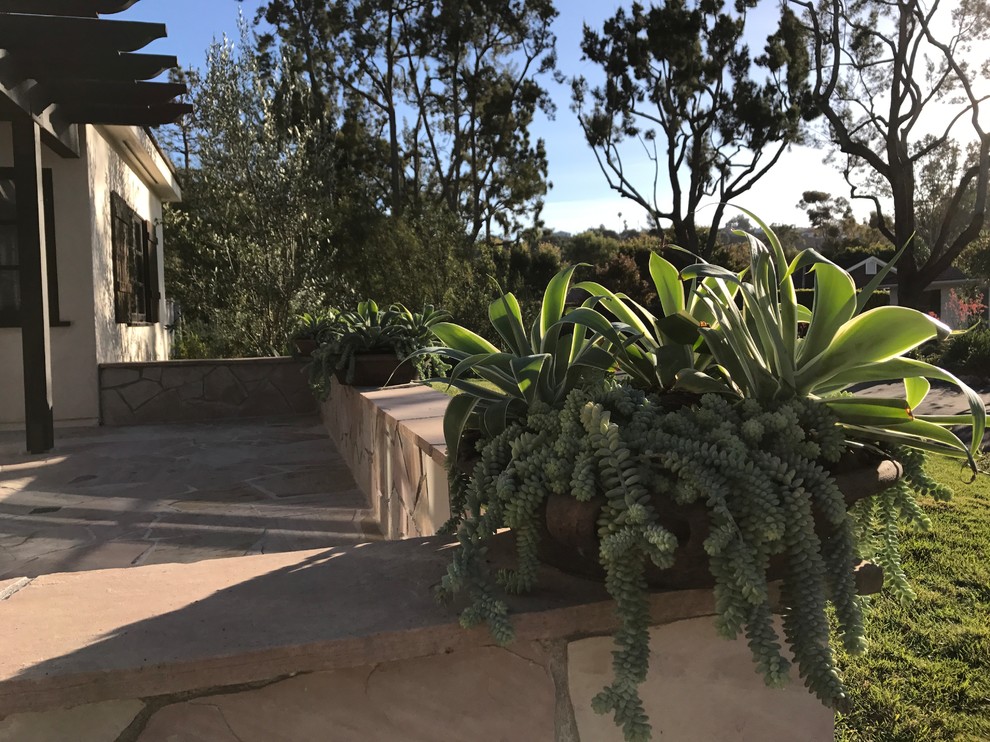 This is an example of a mediterranean backyard landscaping in Santa Barbara.