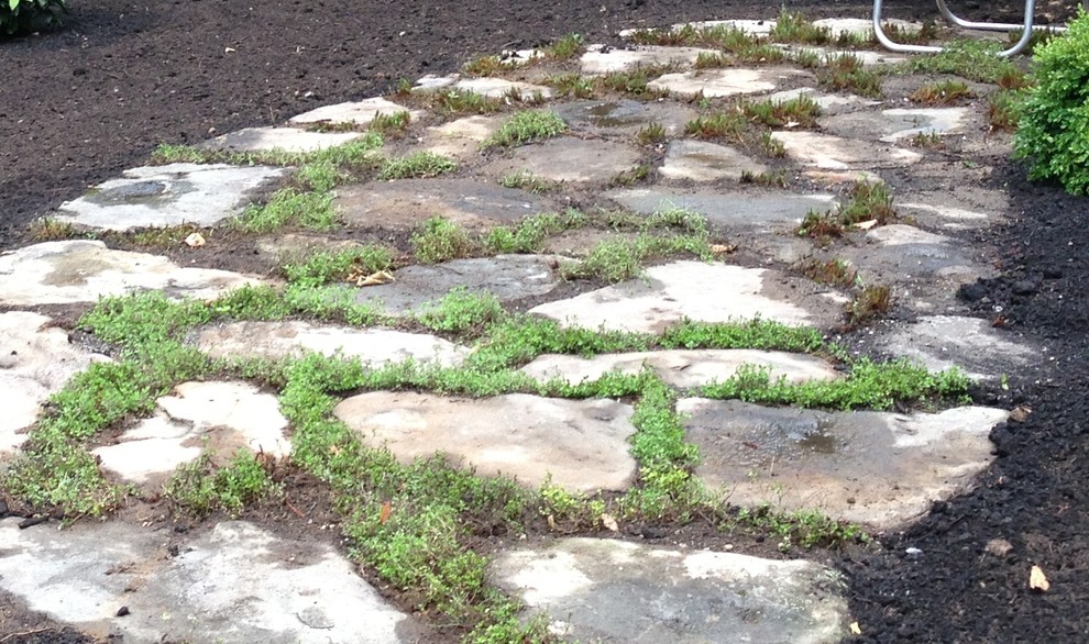Diseño de jardín rural en patio trasero con adoquines de piedra natural