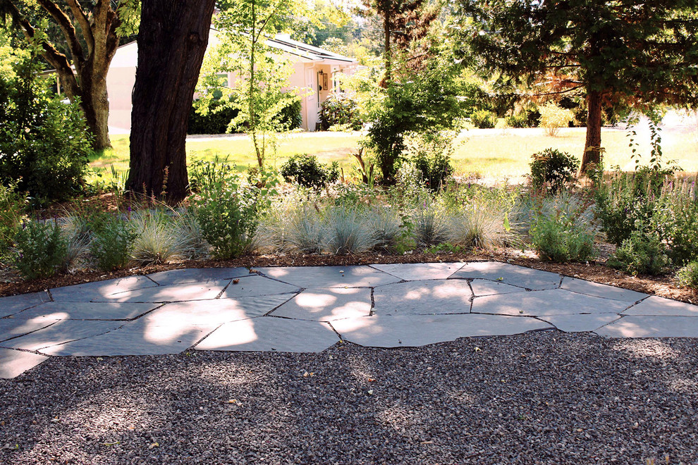 Ejemplo de jardín de secano rústico pequeño en patio trasero con jardín de macetas, exposición parcial al sol y mantillo