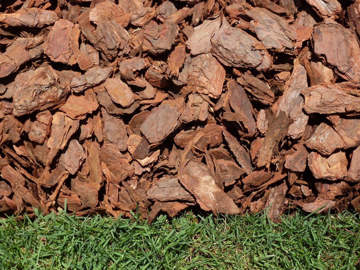 Pine Bark Mulch Nuggets Houzz