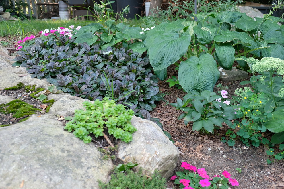Immagine di un piccolo giardino minimal esposto a mezz'ombra dietro casa in estate con ghiaia