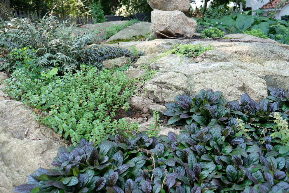 Idee per un piccolo giardino contemporaneo esposto a mezz'ombra dietro casa in estate