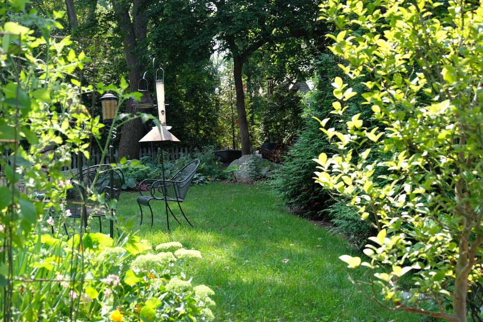 Kleiner, Halbschattiger Moderner Garten im Sommer, hinter dem Haus in Boston