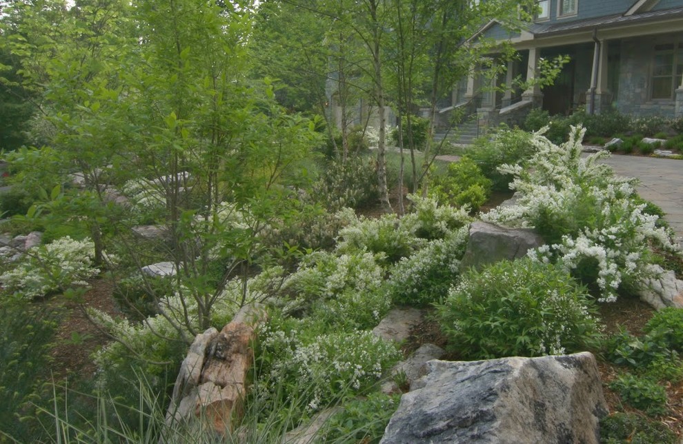 Design ideas for a mid-sized rustic full sun front yard landscaping in DC Metro for spring.