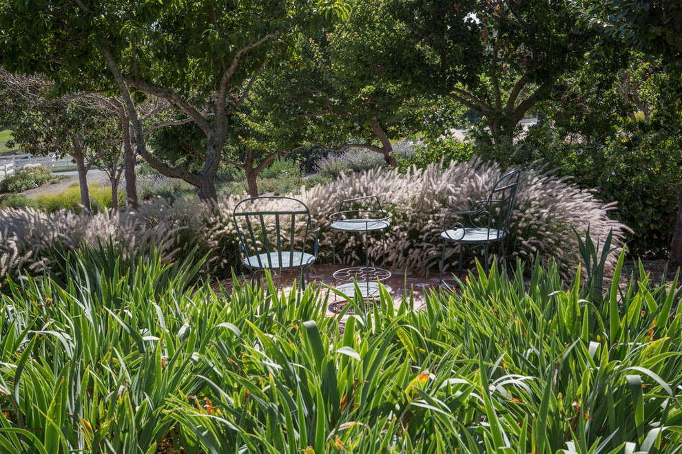 サンタバーバラにある高級な中くらいな、春のラスティックスタイルのおしゃれな庭 (日向、マルチング舗装) の写真