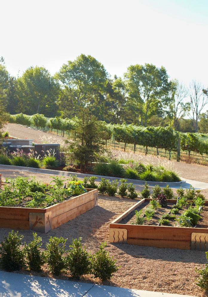 Design ideas for a rustic vegetable garden landscape in Santa Barbara.