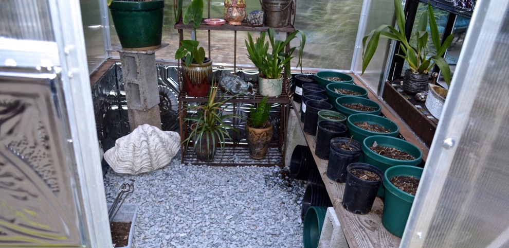 Idée de décoration pour un petit jardin arrière chalet avec une exposition ensoleillée.
