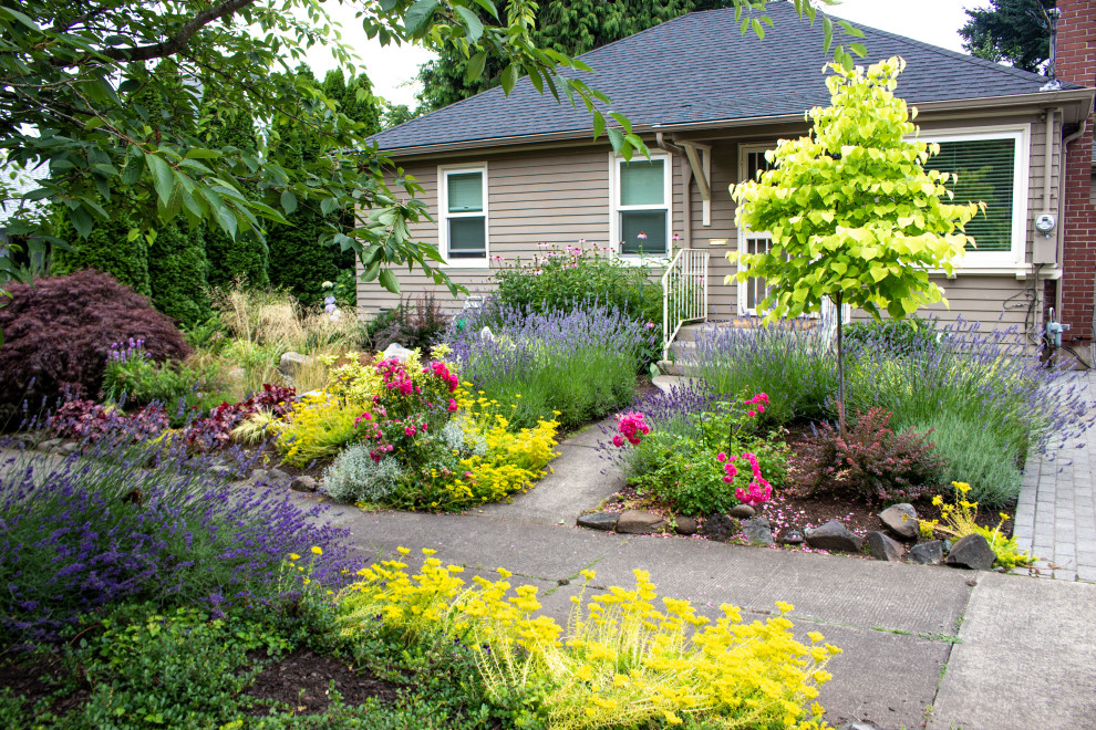 Пример оригинального дизайна: маленький солнечный, летний засухоустойчивый сад на переднем дворе в современном стиле с садовой дорожкой или калиткой и хорошей освещенностью для на участке и в саду