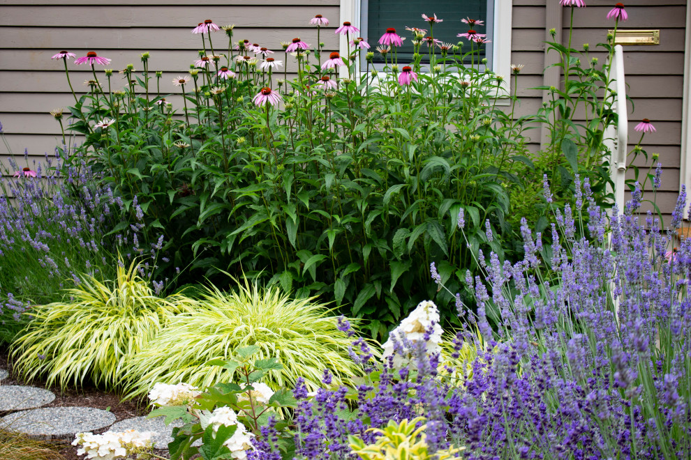 Foto di un piccolo giardino xeriscape contemporaneo esposto in pieno sole davanti casa in estate con un ingresso o sentiero