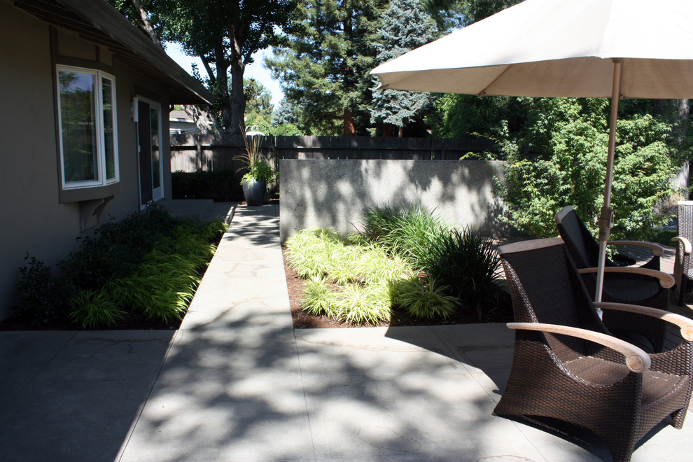 Design ideas for a modern landscaping in Sacramento.
