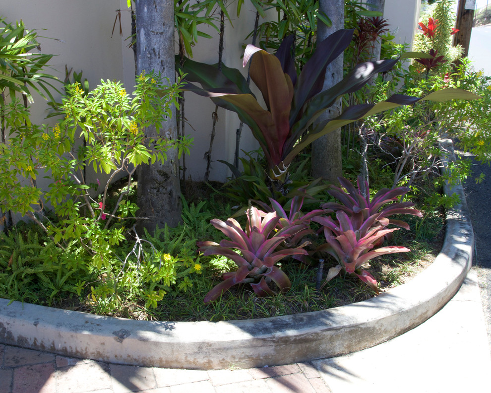 Diseño de jardín tropical de tamaño medio en patio delantero con jardín de macetas, exposición parcial al sol y adoquines de piedra natural