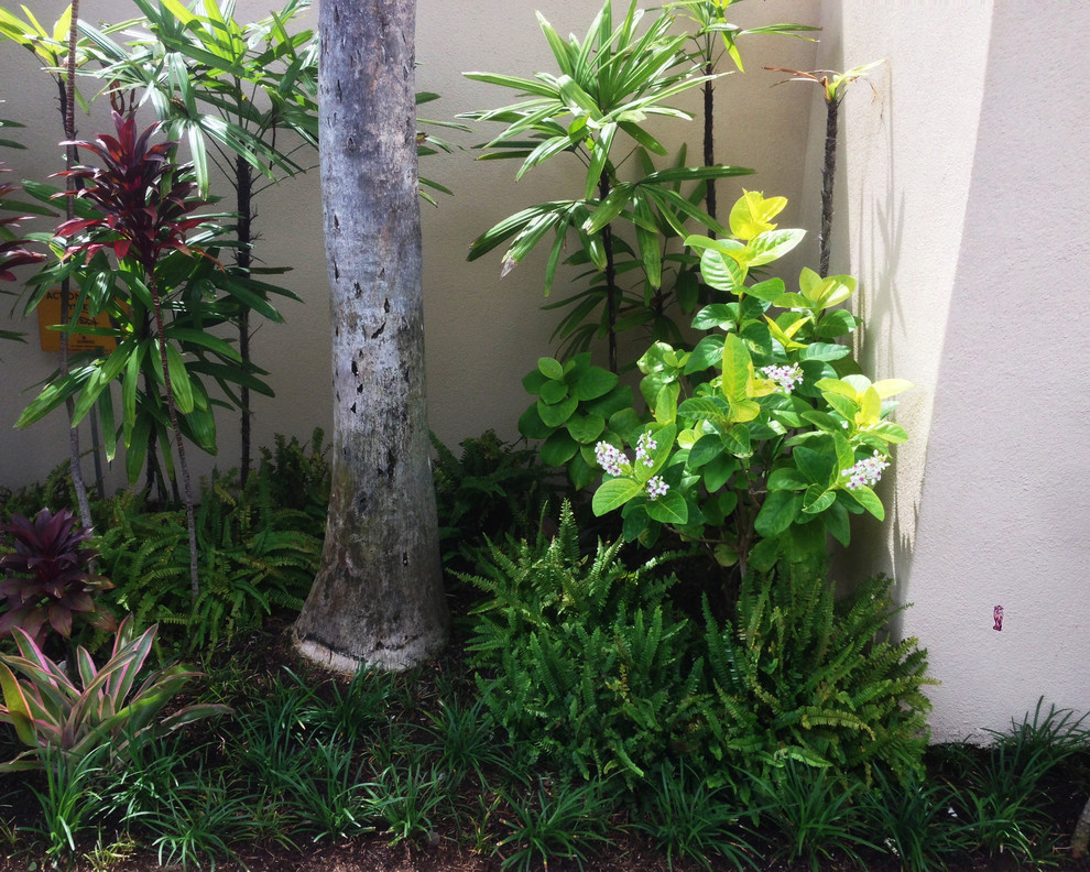 Mittelgroße, Halbschattige Gartenmauer neben dem Haus mit Natursteinplatten in Hawaii