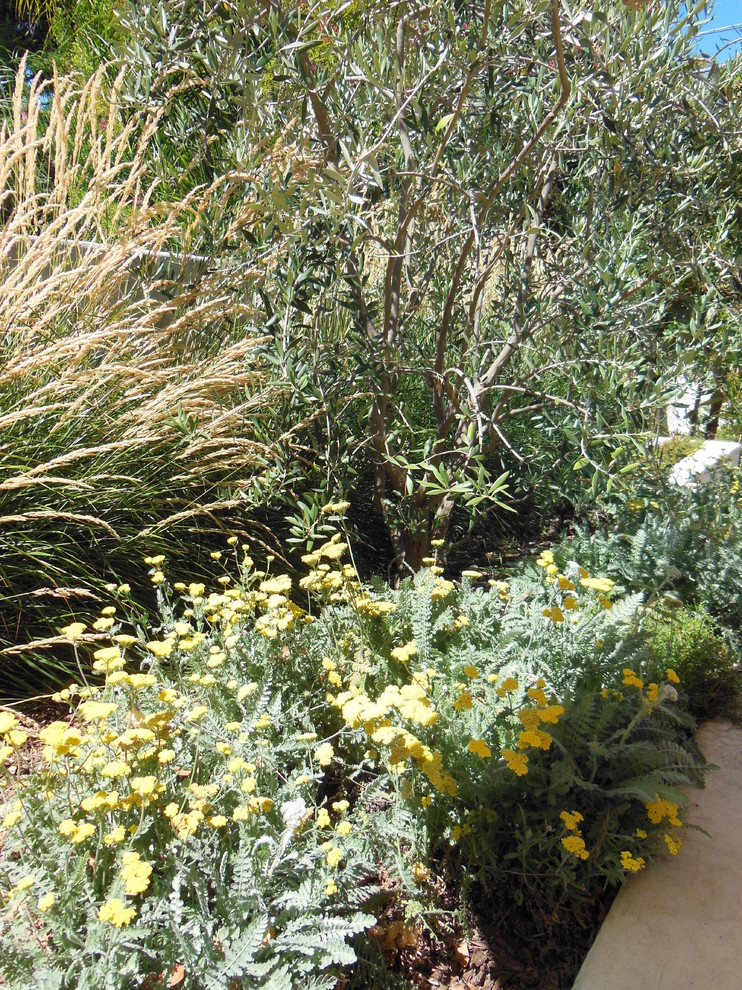 Immagine di un grande giardino formale mediterraneo esposto in pieno sole dietro casa in primavera con fontane e pavimentazioni in pietra naturale