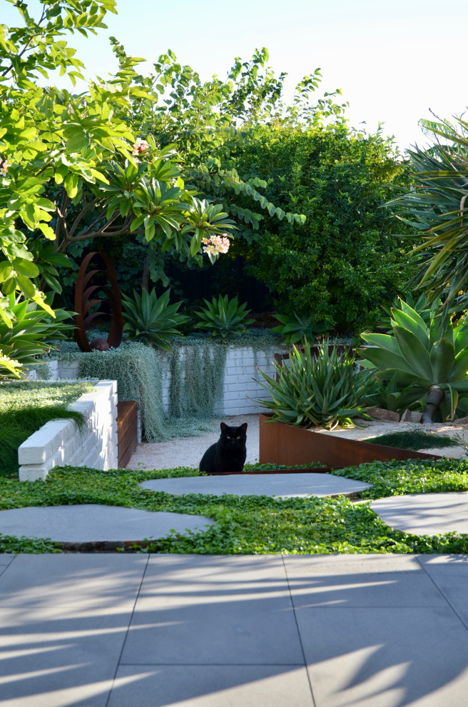 This is an example of a medium sized modern back xeriscape full sun garden for summer in Perth with a garden path and natural stone paving.