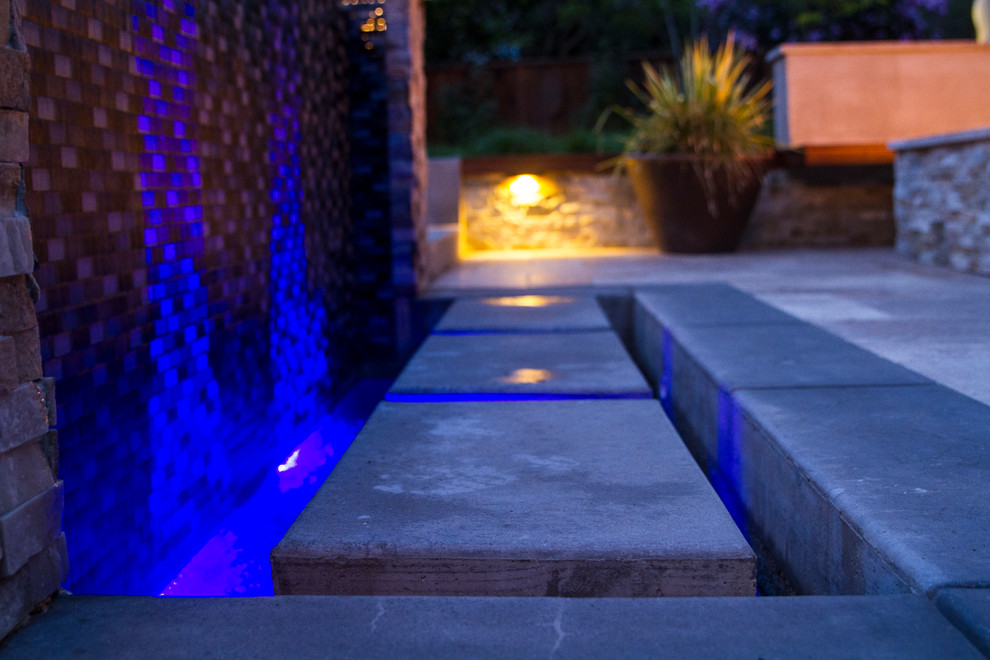 Design ideas for a contemporary garden in San Francisco with a water feature.