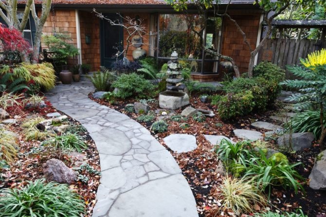 Sage and Stone Landscapes: Timeless Beauty of Nature’s Harmony