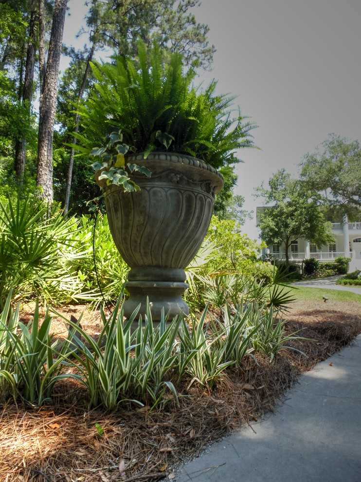 Design ideas for a tropical landscaping in Jacksonville.
