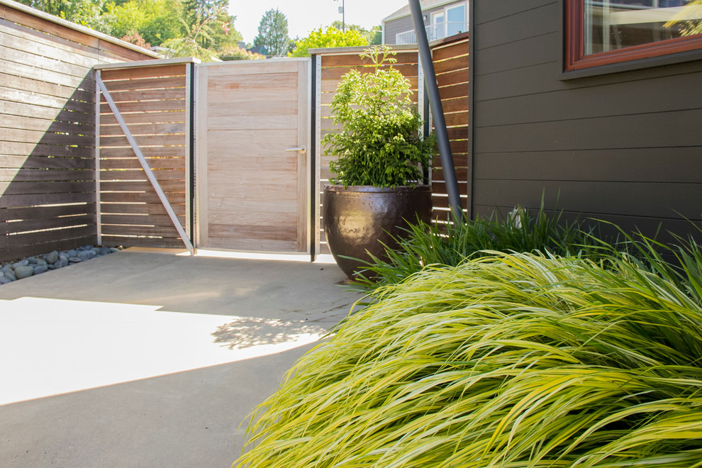 Medium sized modern side partial sun garden for spring in Seattle with a garden path and concrete paving.